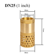 Cargar imagen en el visor de la galería, Rückschlagventil mit saugkorb 1/2 3/4 1 1-1/4 1-1/2 2 2-1/2 3 zoll - fußventil mit saugkorb für Saugschlauch schwengelpumpe gartenpumpe
