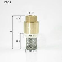 Cargar imagen en el visor de la galería, Rückschlagventil für pumpe 1/2 3/4 1 1-1/4 1-1/2 2 2-1/2 3 zoll - fußventil mit saugkorb rückschlagventil mit filter für Saugschlauch schwengelpumpe gartenpumpe
